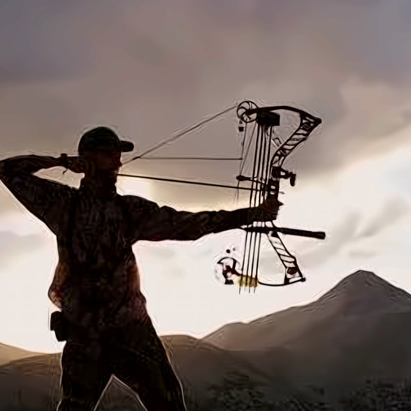 Used Bows